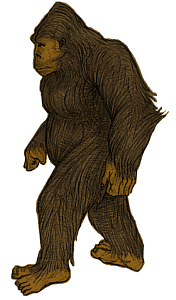 yeti
